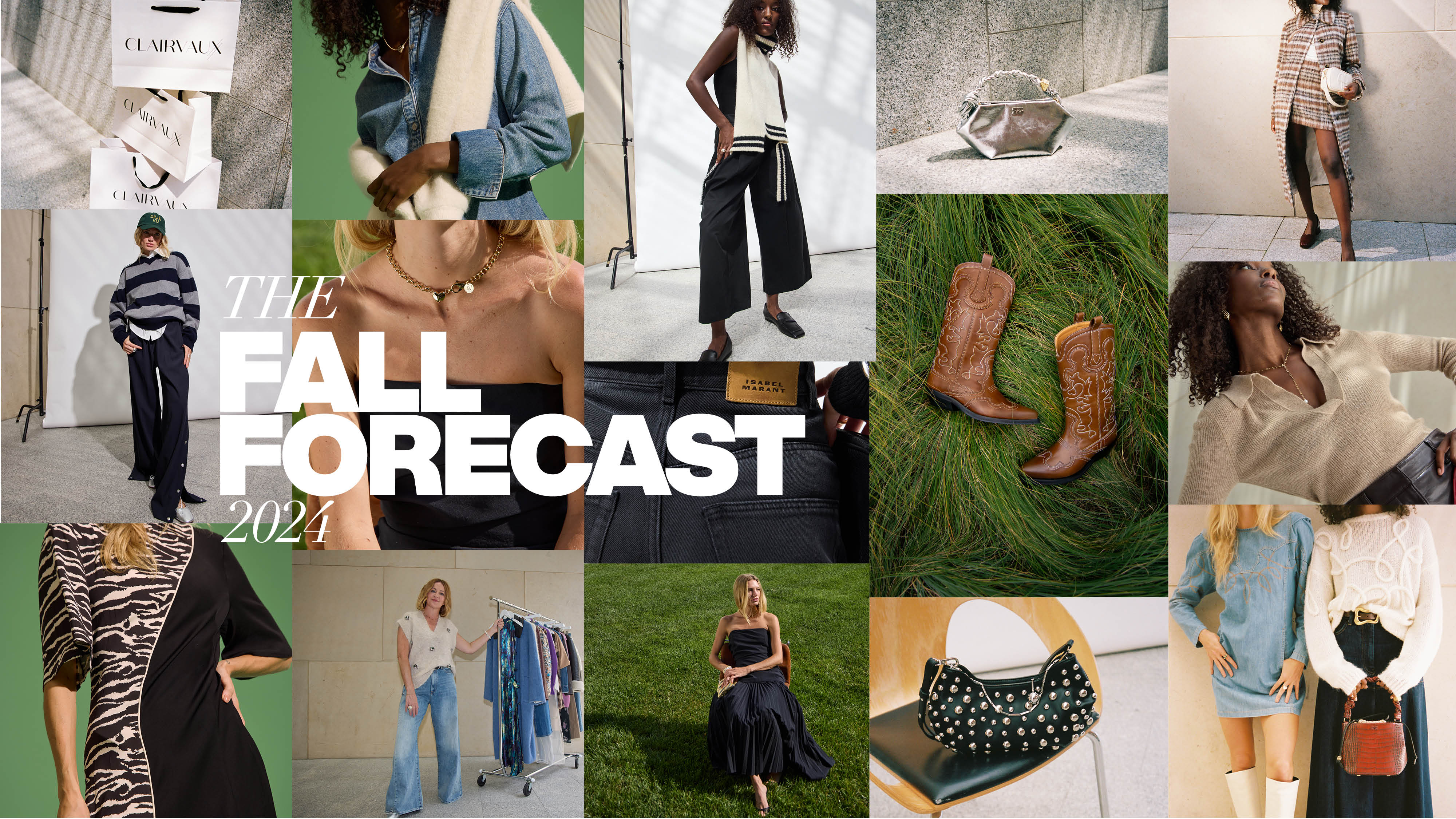 FALL FORECAST '24