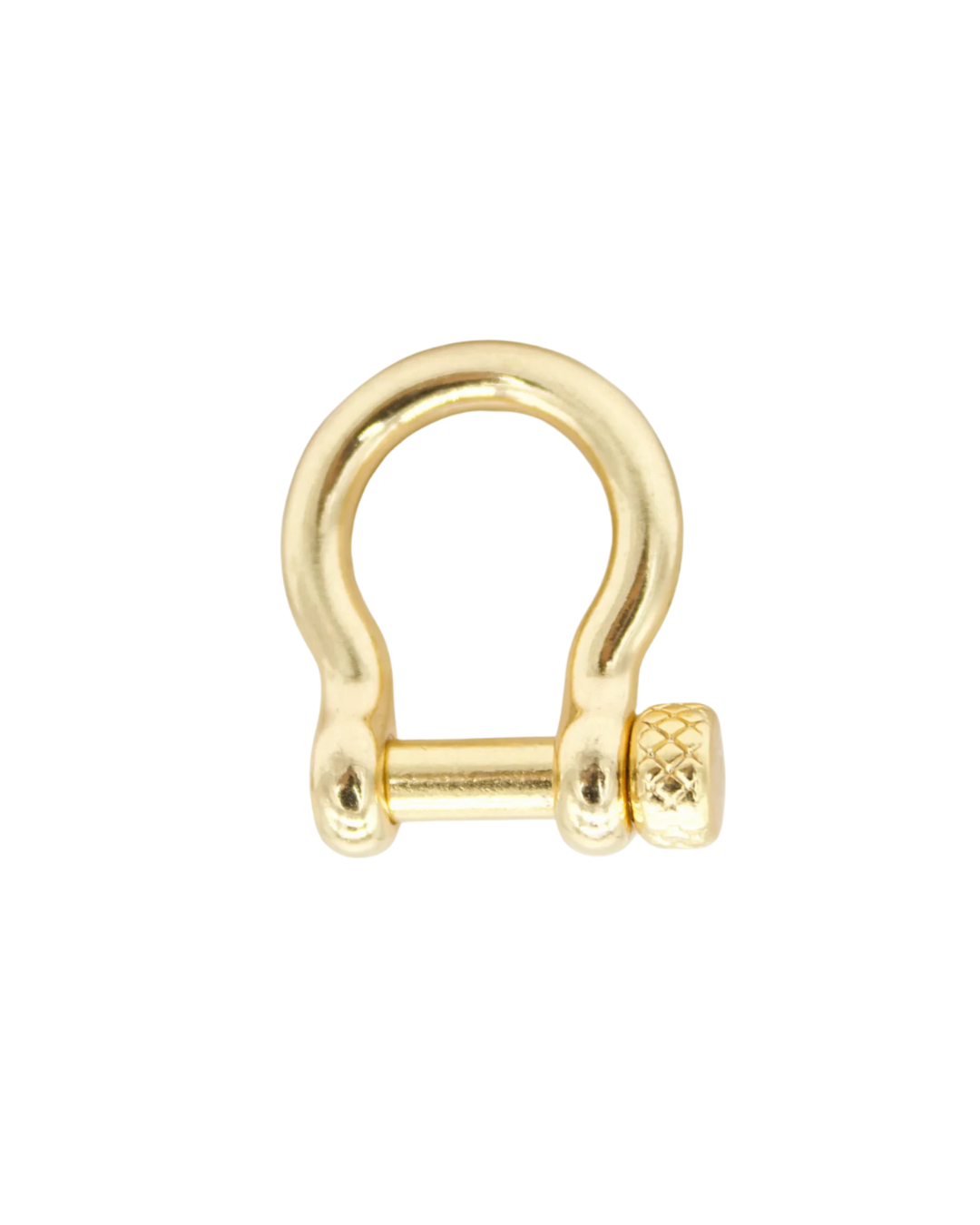Gold shackle on a white background